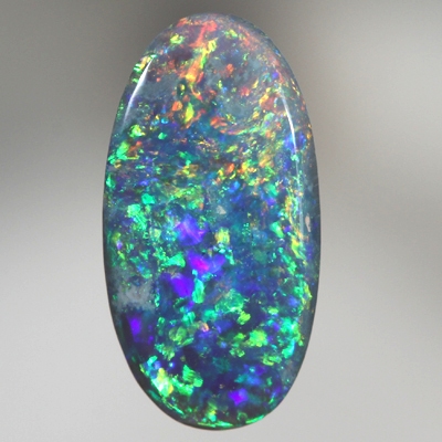 SOLID BLACK OPAL Bright Floral Harlequin pattern